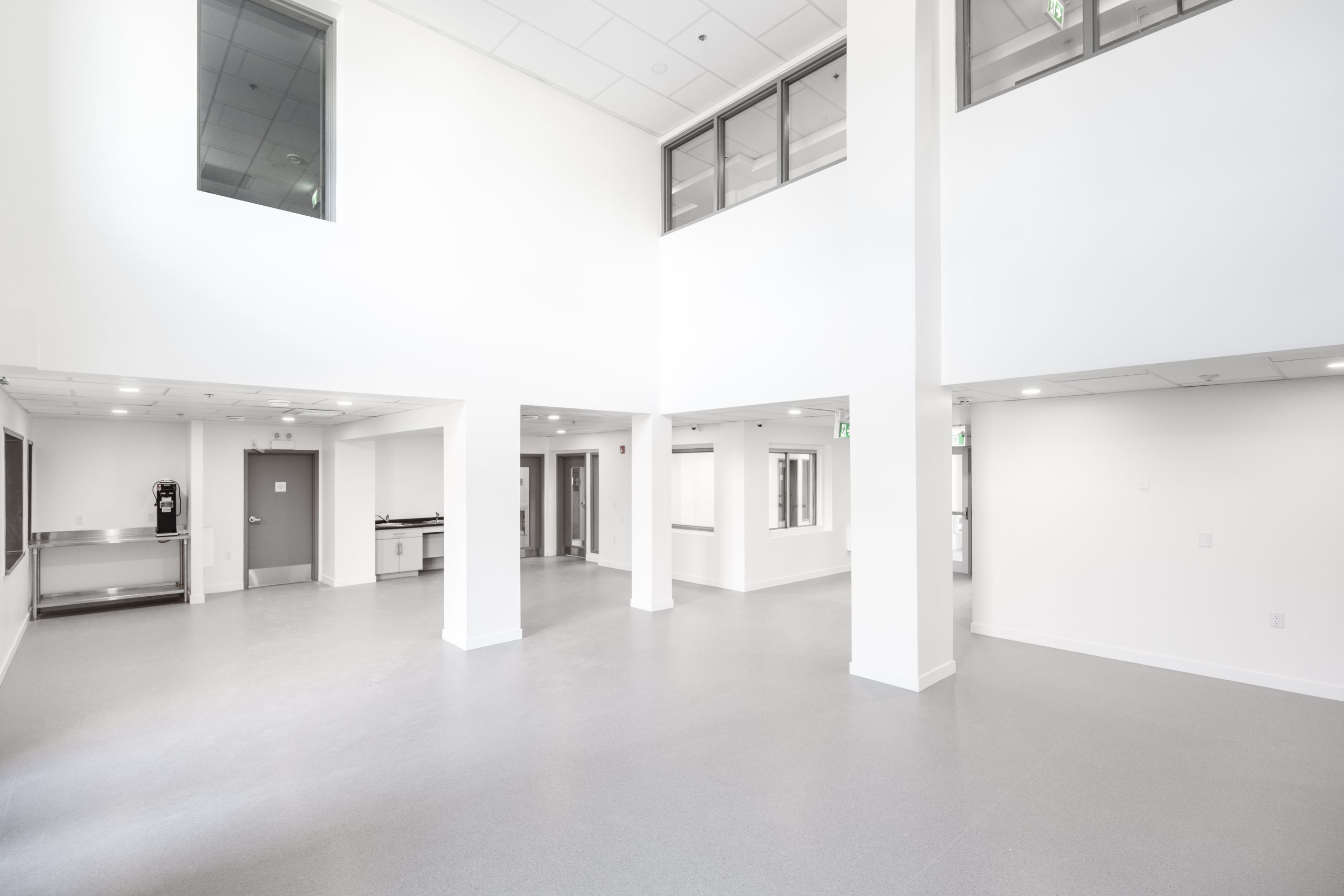 Phoenix Pathways interior