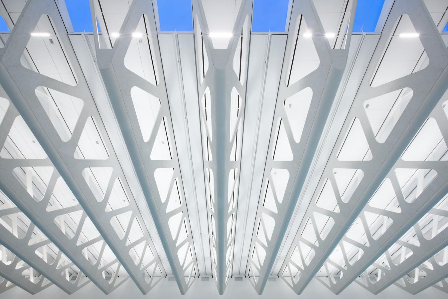 Timber roof structure at Guildford Aquatic Centre